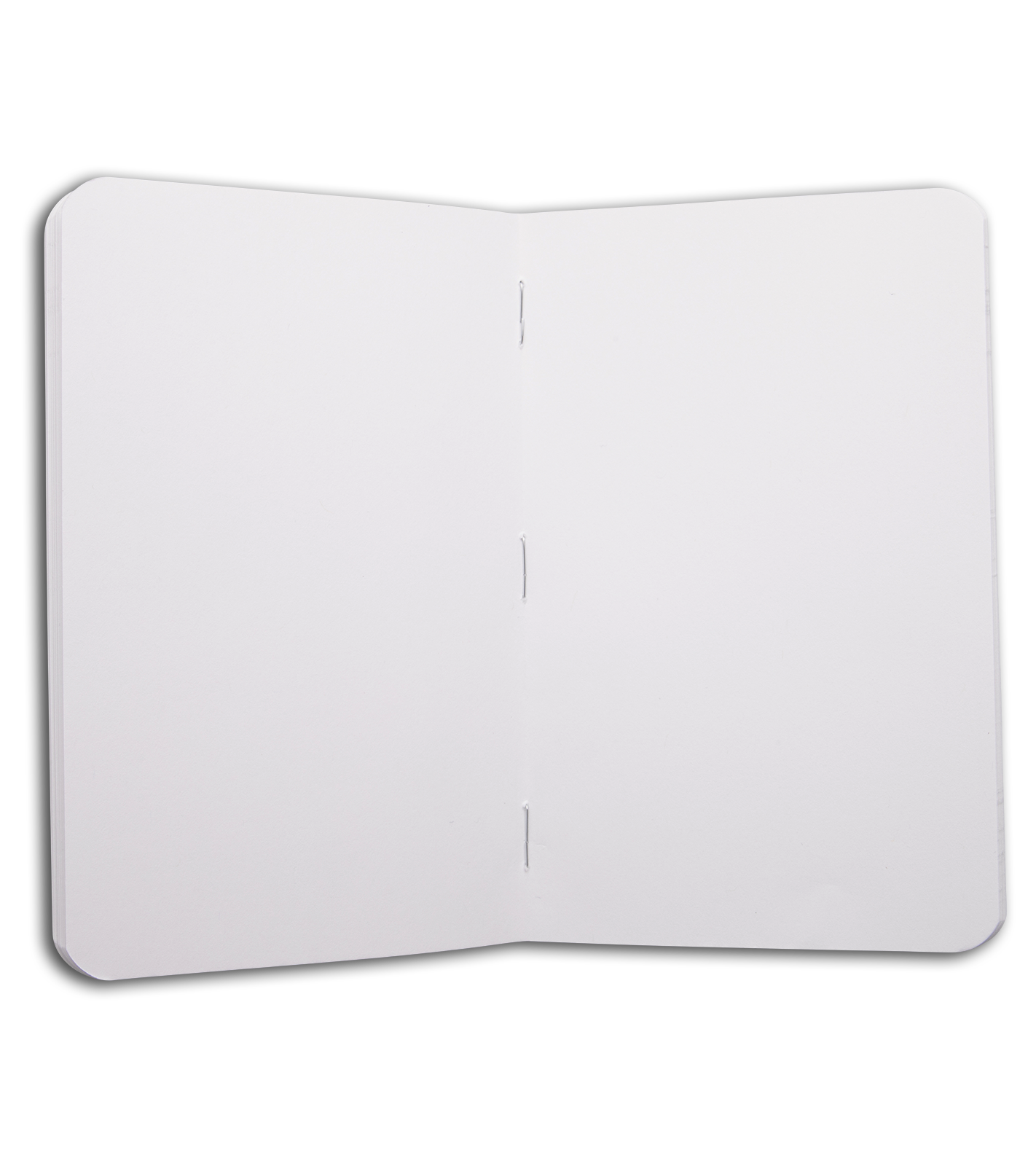 Field Notes Memo Ruled/Lined/Graph 3-Pack - Dessert Warrior® Theme