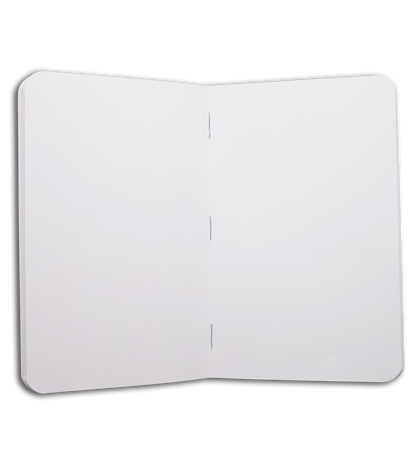 Field Notes Memo Ruled/Lined/Graph 3-Pack - Dessert Warrior® Theme